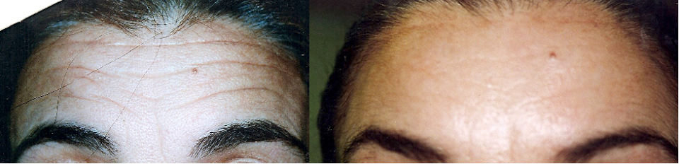 14322389_1987206361505630_433567110937575169_n